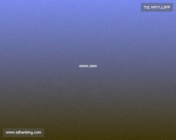 中网赛事总监_中网公开赛